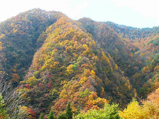 渓谷遊歩道を抜けると見える山々の紅葉