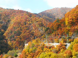 渓谷最奥部の茶色く色付いた山々の紅葉