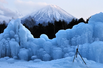 樹氷越しに見る富士山