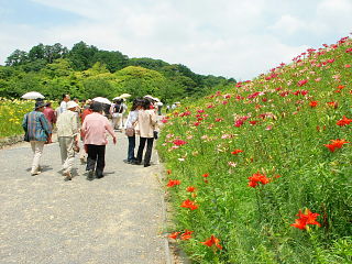 ゆりの花を楽しむ観光客
