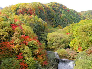 八ヶ嶺橋からの美しい紅葉
