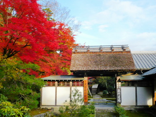 永源寺の紅葉
