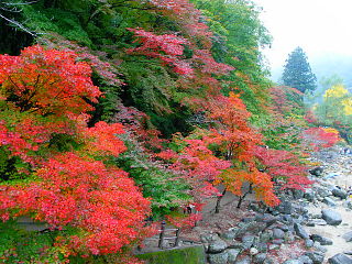 待月橋から紅葉を眺める