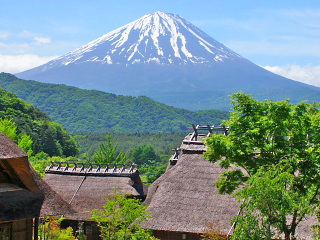 茅葺き屋根と富士山