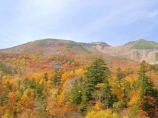 山頂方面には赤く色づいた木も多く見られる