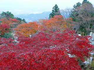 神社境内から紅葉と下界を眺める