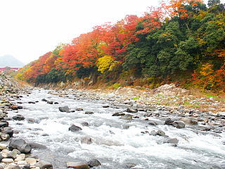 猿橋上流側の川岸の紅葉