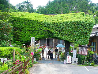 本勝寺 県天然記念物の「緑の山門」