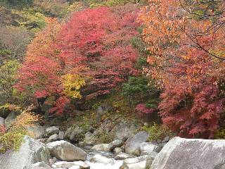 覚円峰付近の渓谷と紅葉
