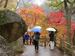 覚円峰付近の遊歩道と紅葉