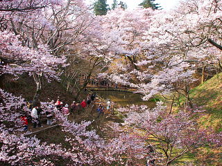 桜雲橋からの眺め