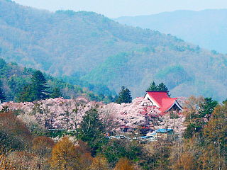 高台からの桜と高遠閣の眺め
