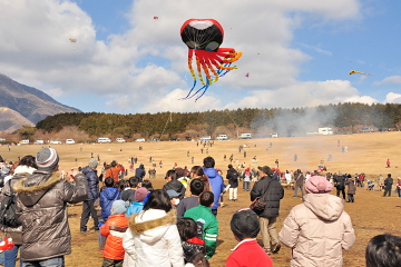 タコの形をした凧を揚げる