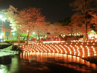 神田川沿いの桜と灯篭