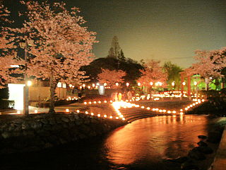 川沿いの桜のライトアップも美しい