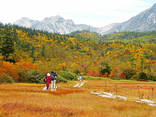ワタスゲ湿原と紅葉の風景 背後に白馬連峰がそびえる