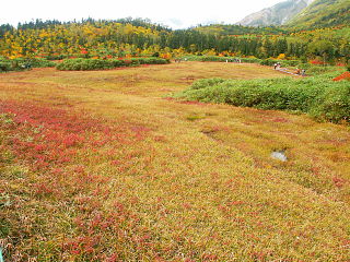 浮島湿原と草紅葉