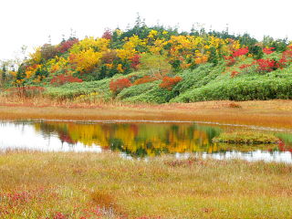 浮島湿原の池に映る紅葉