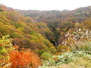 とび滝付近の紅葉