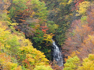 とび滝と紅葉した木々