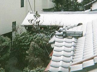 家の屋根も雪化粧