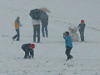 公園内で雪遊びをする子供達
