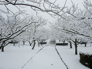 岩本山公園内の梅園も雪化粧