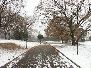 広見公園の雪景色