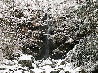 雪化粧の大棚の滝