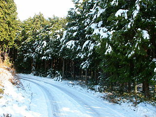 郊外・山間部を走る日陰の道路は午後になっても雪がほとんど解けない状態
