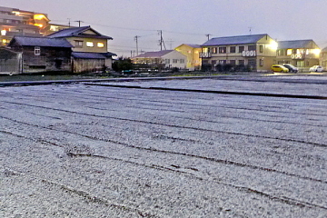 富士駅周辺 畑にうっすら積もった雪